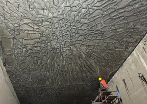 Services Epoxy and PU Injection System_Venus Construction9